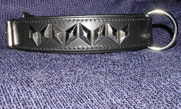 dog_collar_hundhalsband